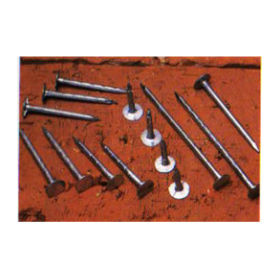 Galvanized Roofing Nail Flat Head